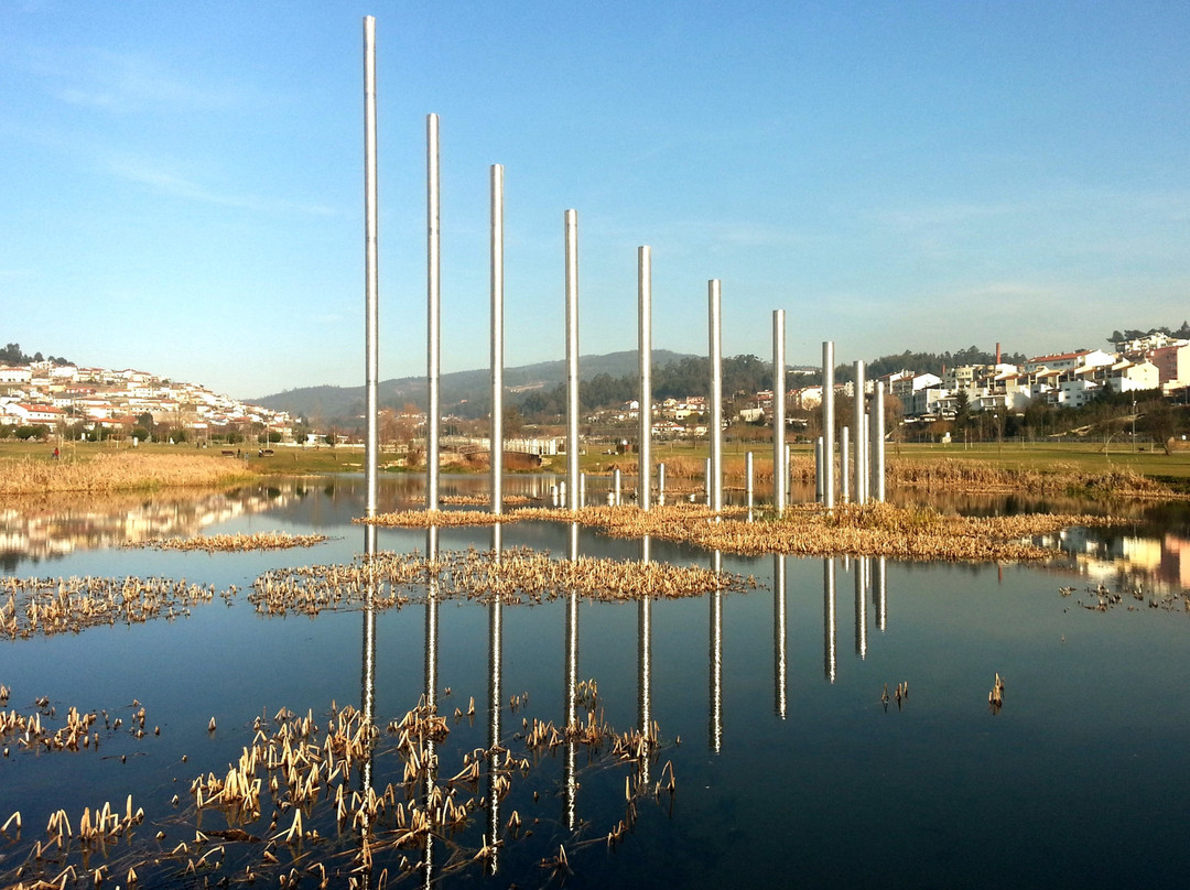 Parque da Cidade景点图片