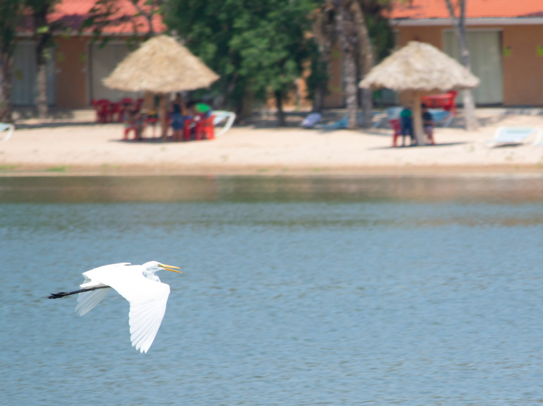 Colpa Caranda Eco Resort主图