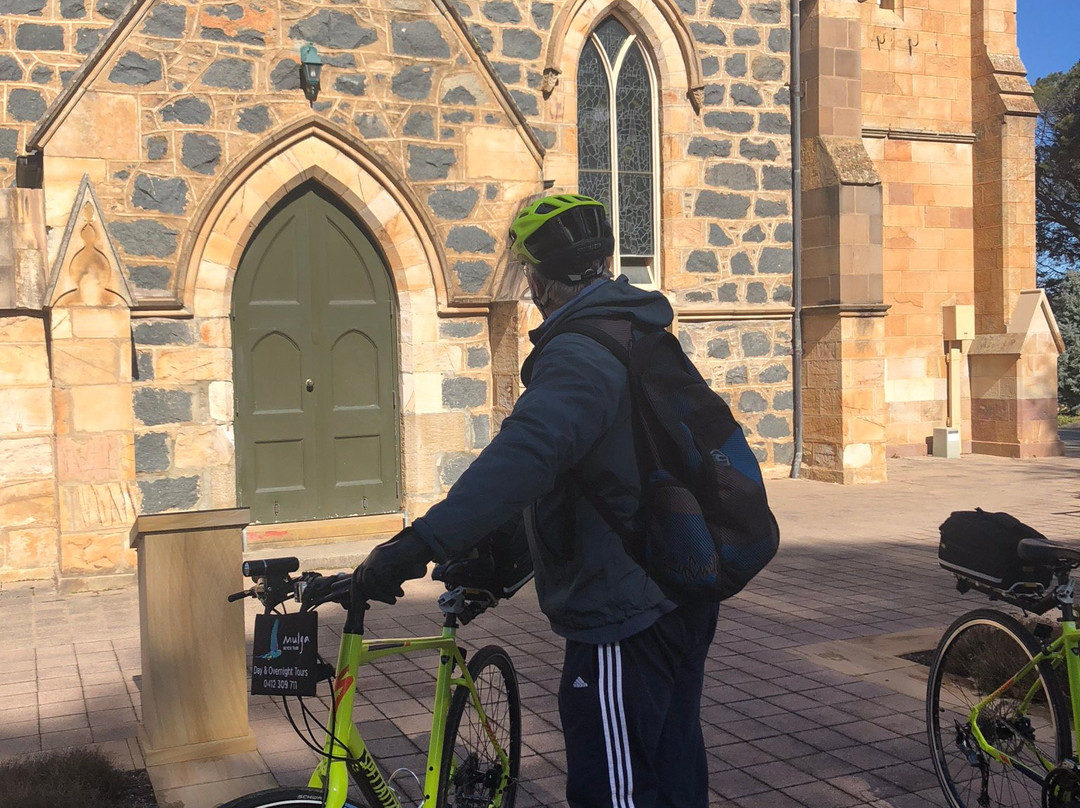Mulga Bicycle Tours-堪培拉必去景点