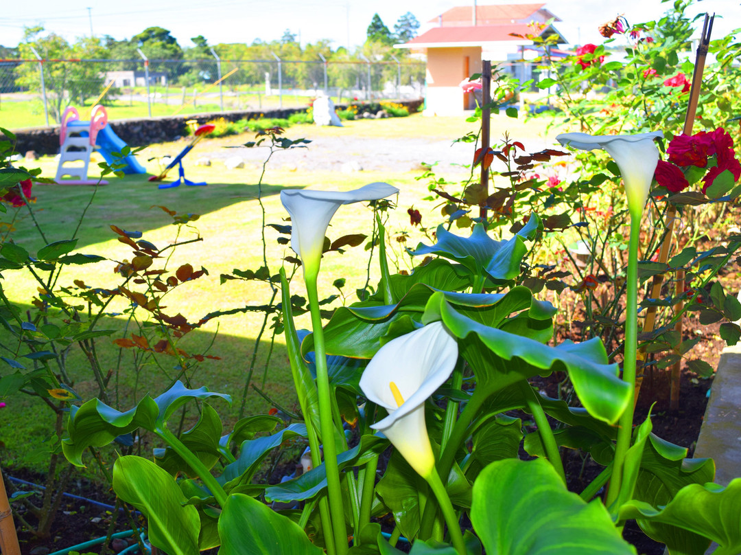 Hostal Victoria Volcan Chiriqui主图