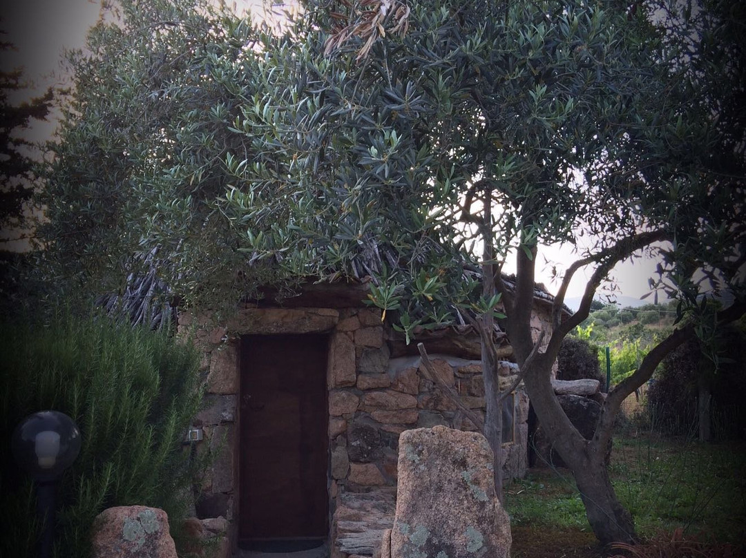 Agriturismo Munduge主图