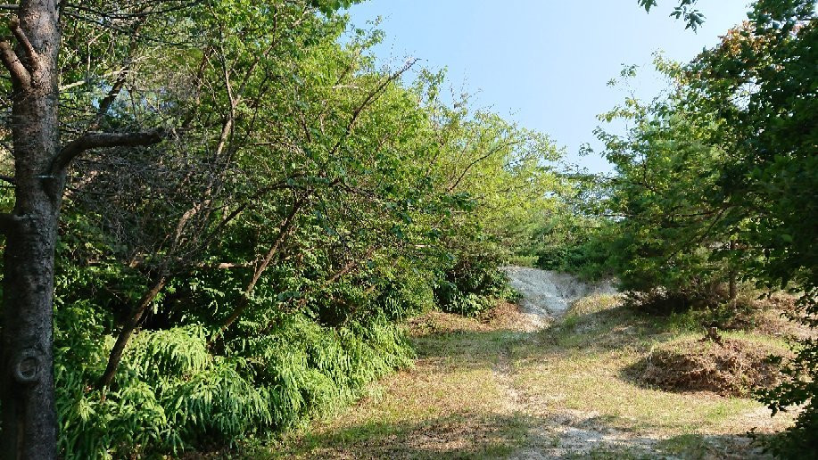 Sunagawakisho-泉南市必去景点