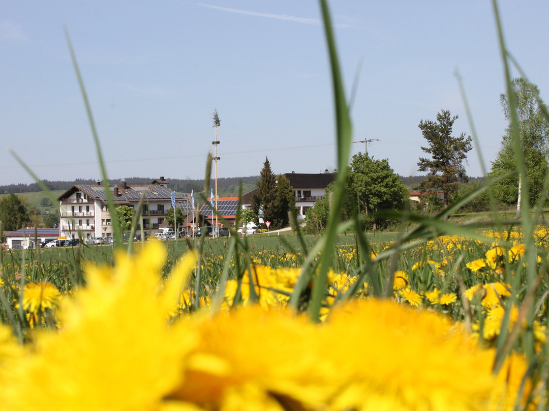 Landhotel Kastanienhof主图