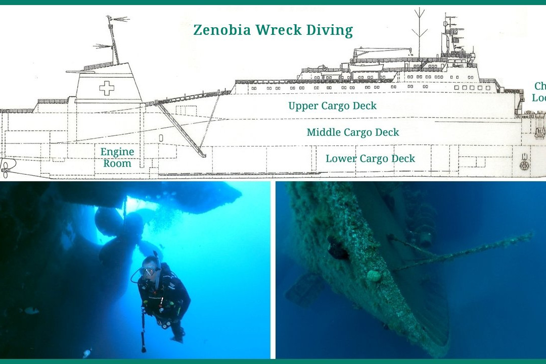 A & S Day Dive Club-皮索里必去景点