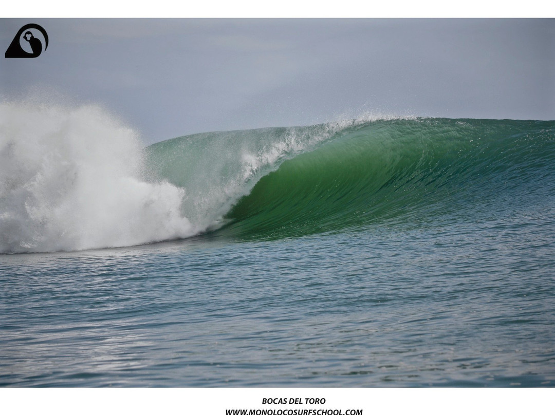 Mono Loco Surf School景点图片