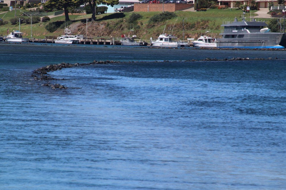 Batemans Marine Park景点图片