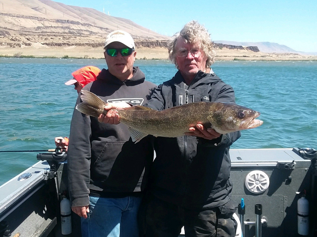 Rufus Hillview Inn主图