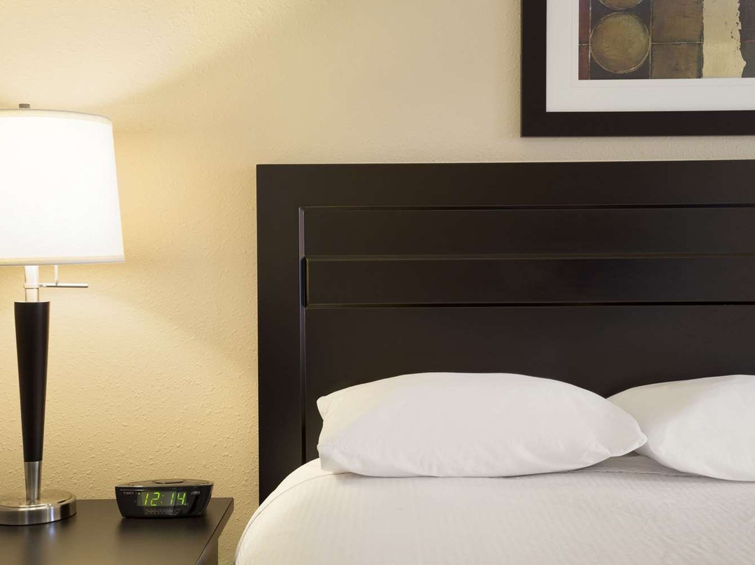 Super 8 by Wyndham Edmonton International Airport主图