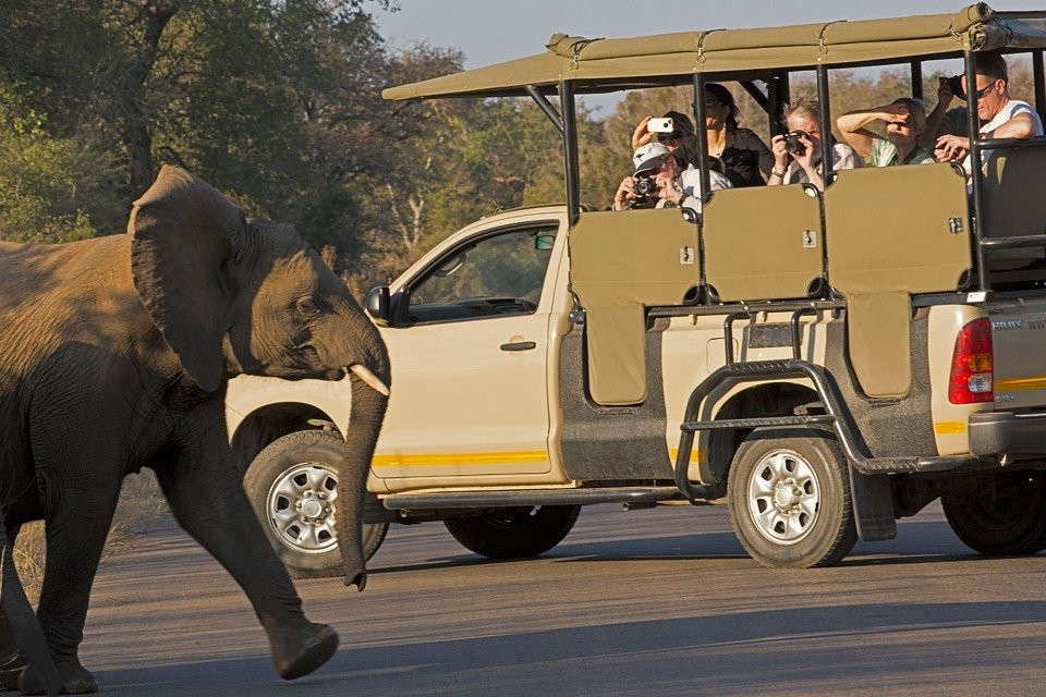 Vomba Tours & Safaris-雾观必去景点