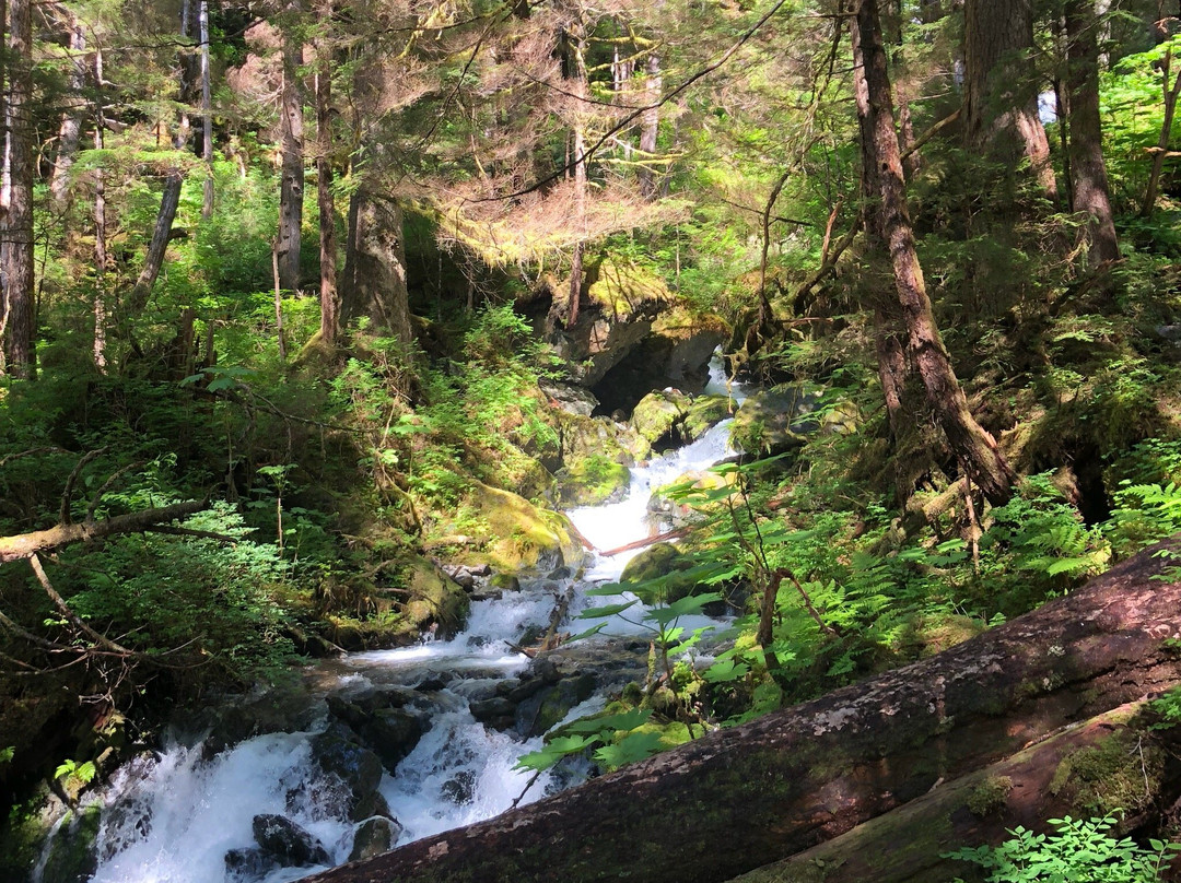 Herring Cove Trail景点图片