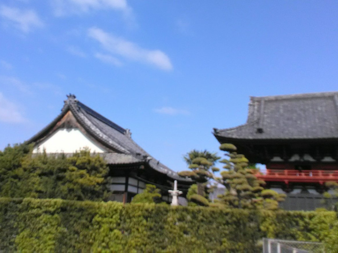 Shoro in Saifukuji Temple-西尾市必去景点