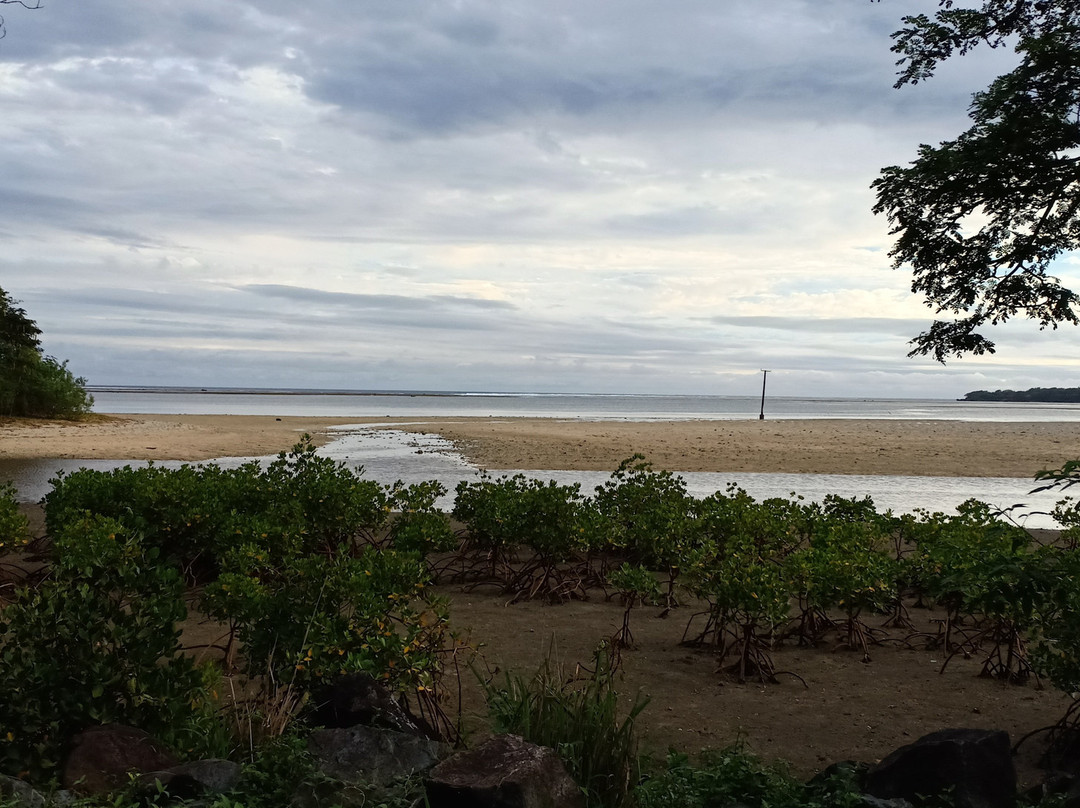 Coral Coast Adventures Fiji Limited景点图片