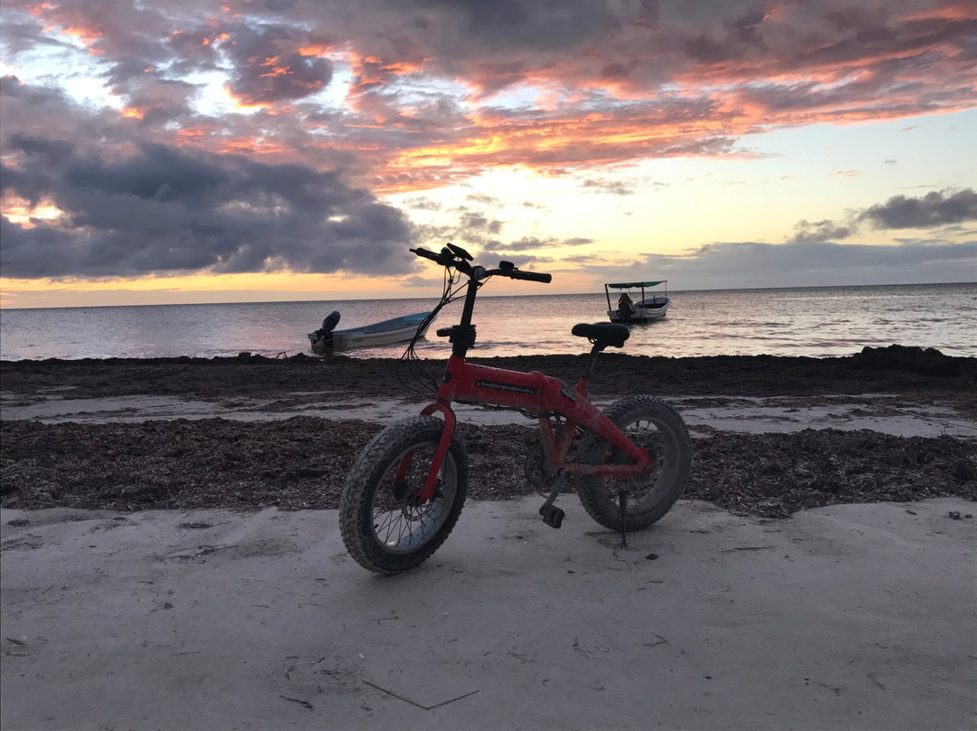 Playitas Ecobikes景点图片