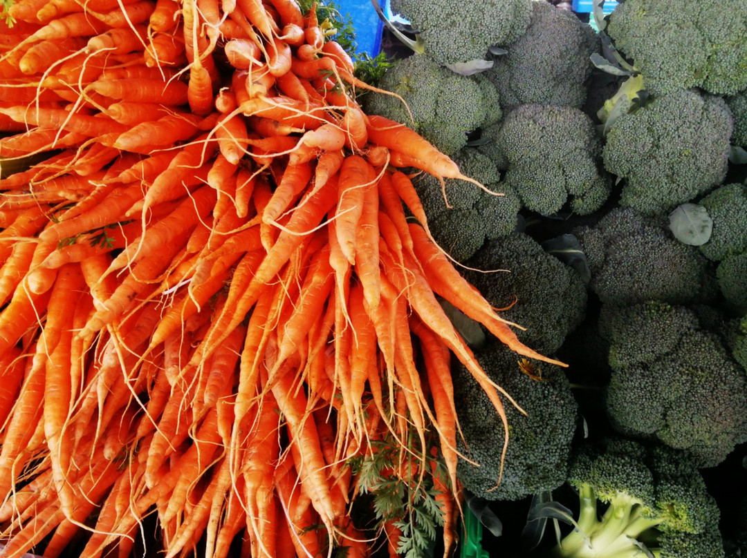 Motueka Sunday Market景点图片