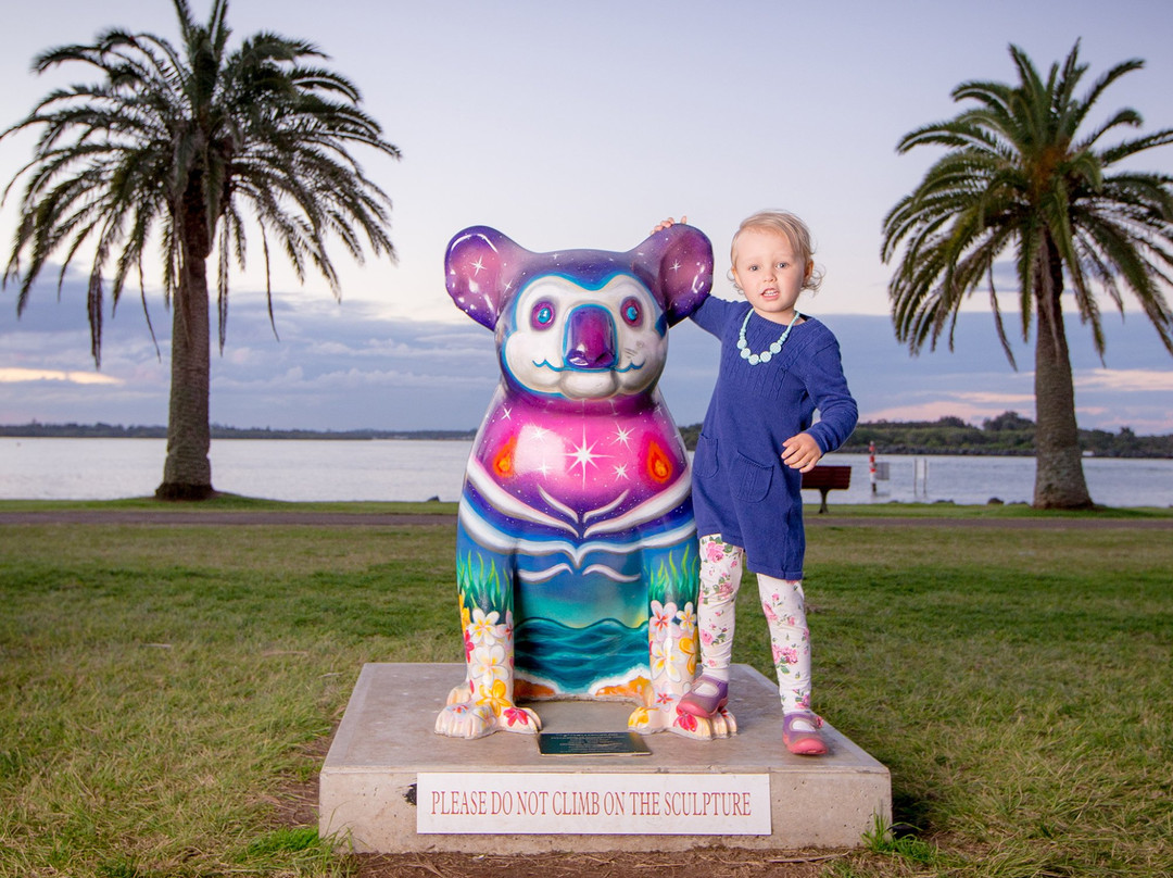 Hello Koalas Sculpture Gallery & Gift Shop景点图片