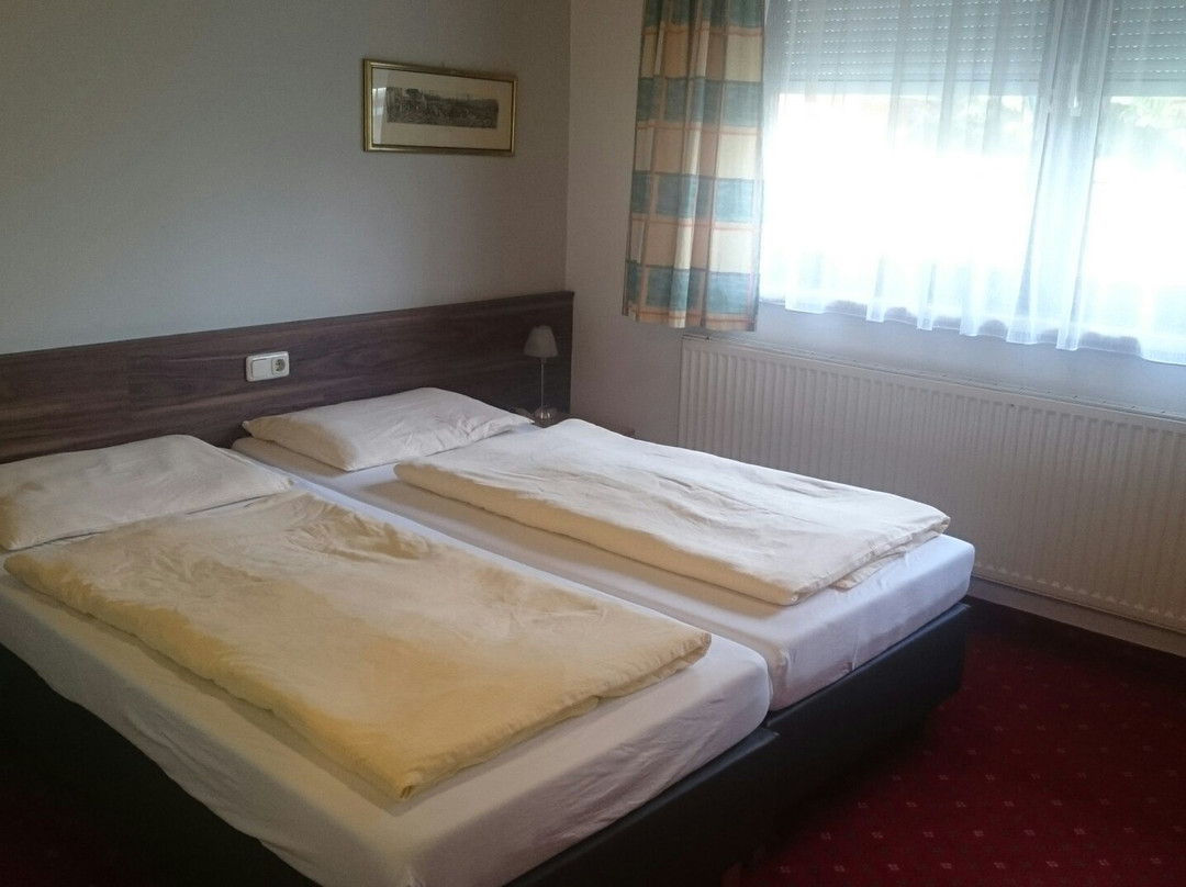 Hotel Danzer主图