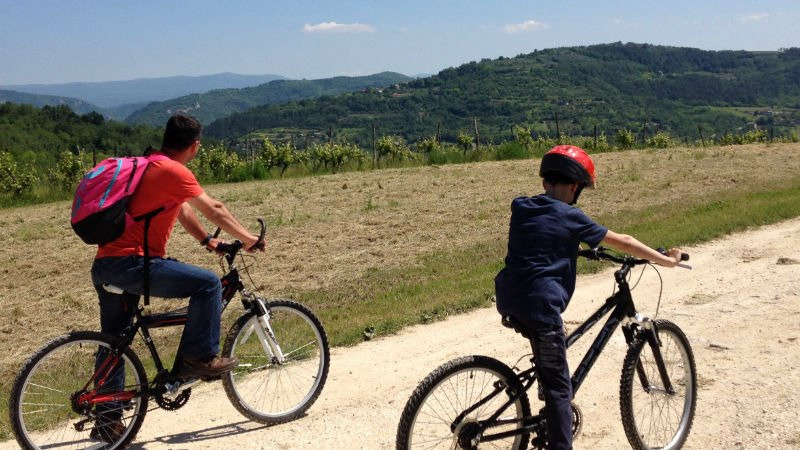 Montona Tours - Rent a Bike Point Motovun-Motovun必去景点