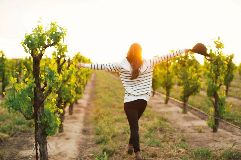 Bordeaux Inn Lodi主图