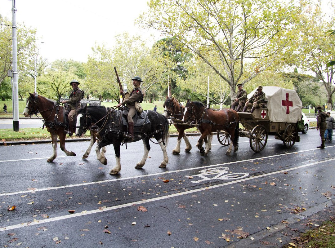 The Light Horse & Field Artillery Museum景点图片