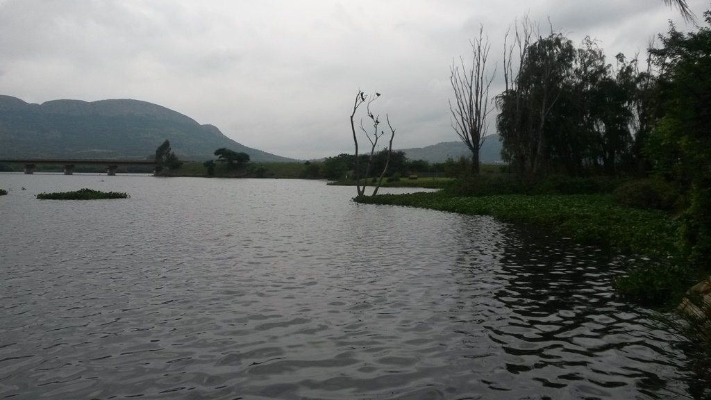 Blue Crane Villa - Private Guest House主图