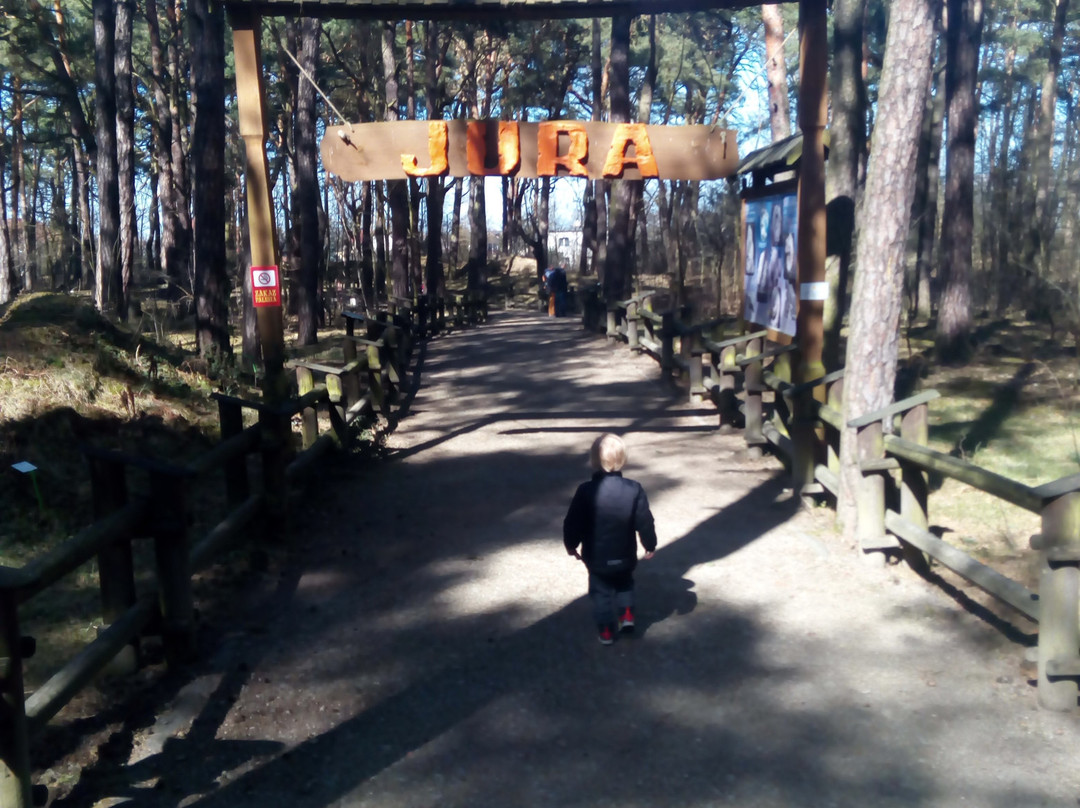 JuraPark-Solec Kujawski必去景点