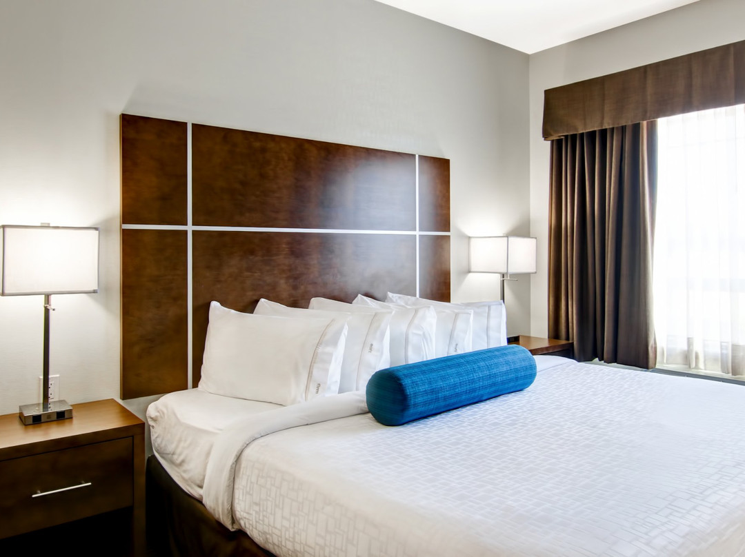 Canalta Selkirk主图