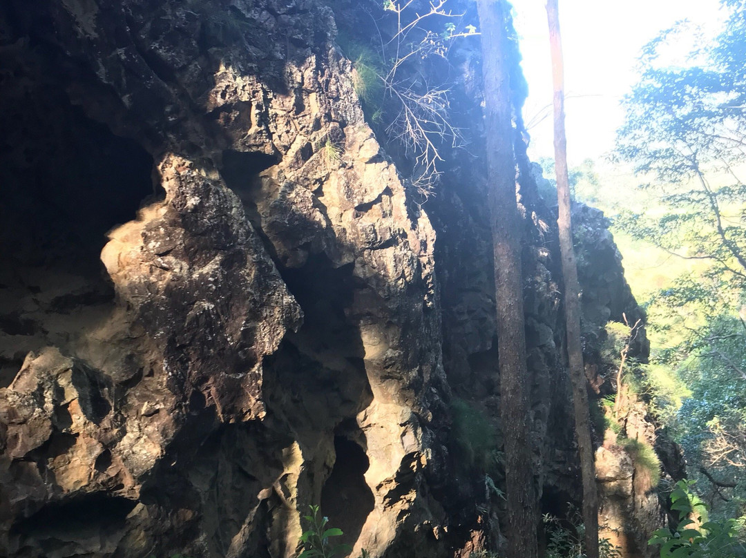 Glass House Mountains旅游攻略图片
