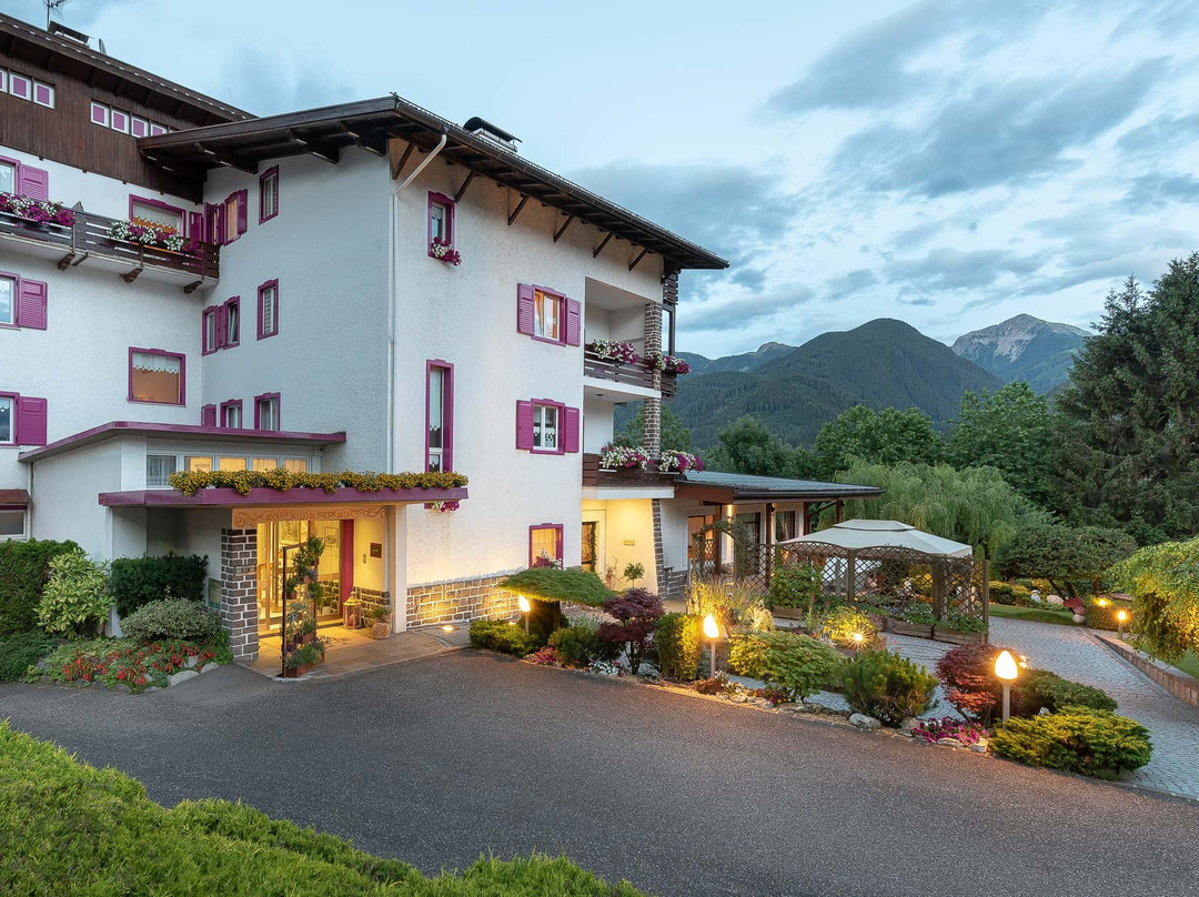 Hotel Latemar主图