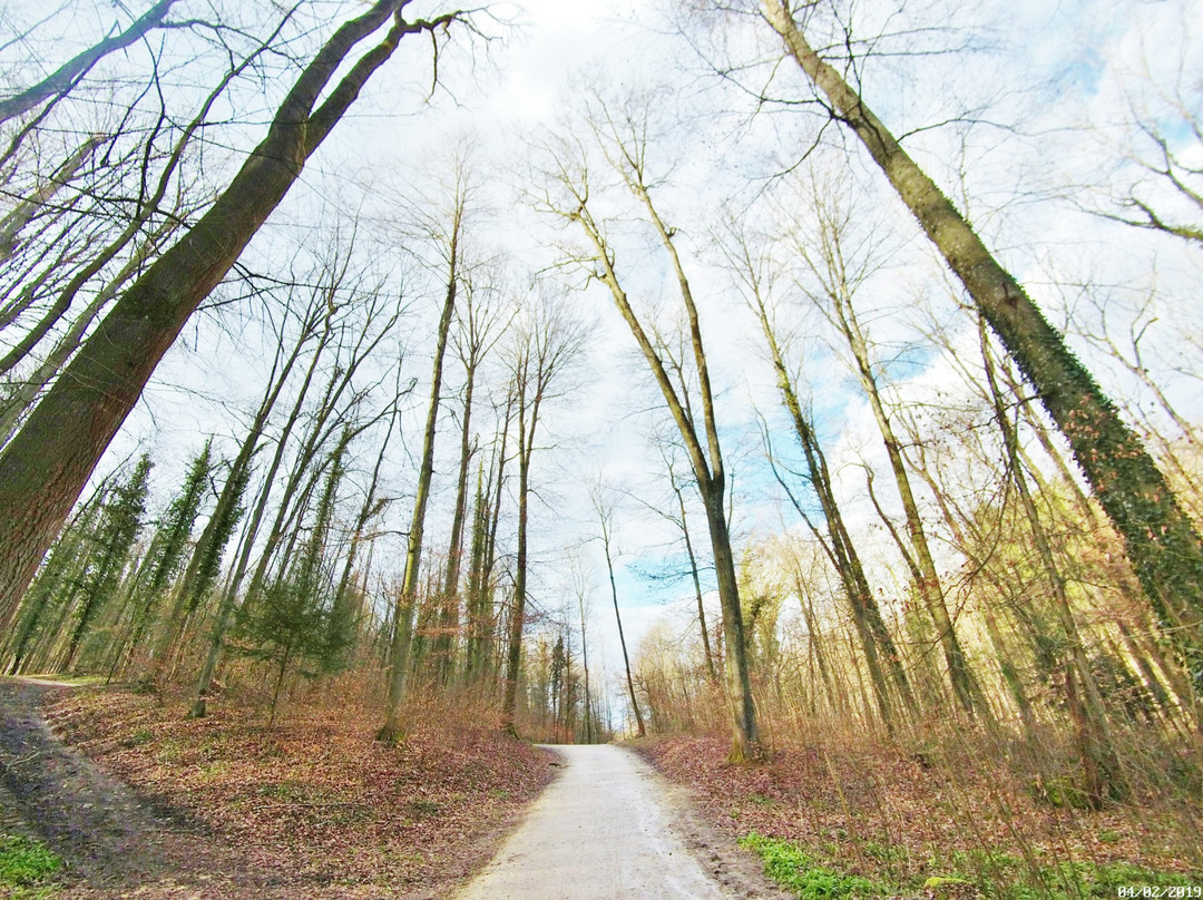 null-Allschwil