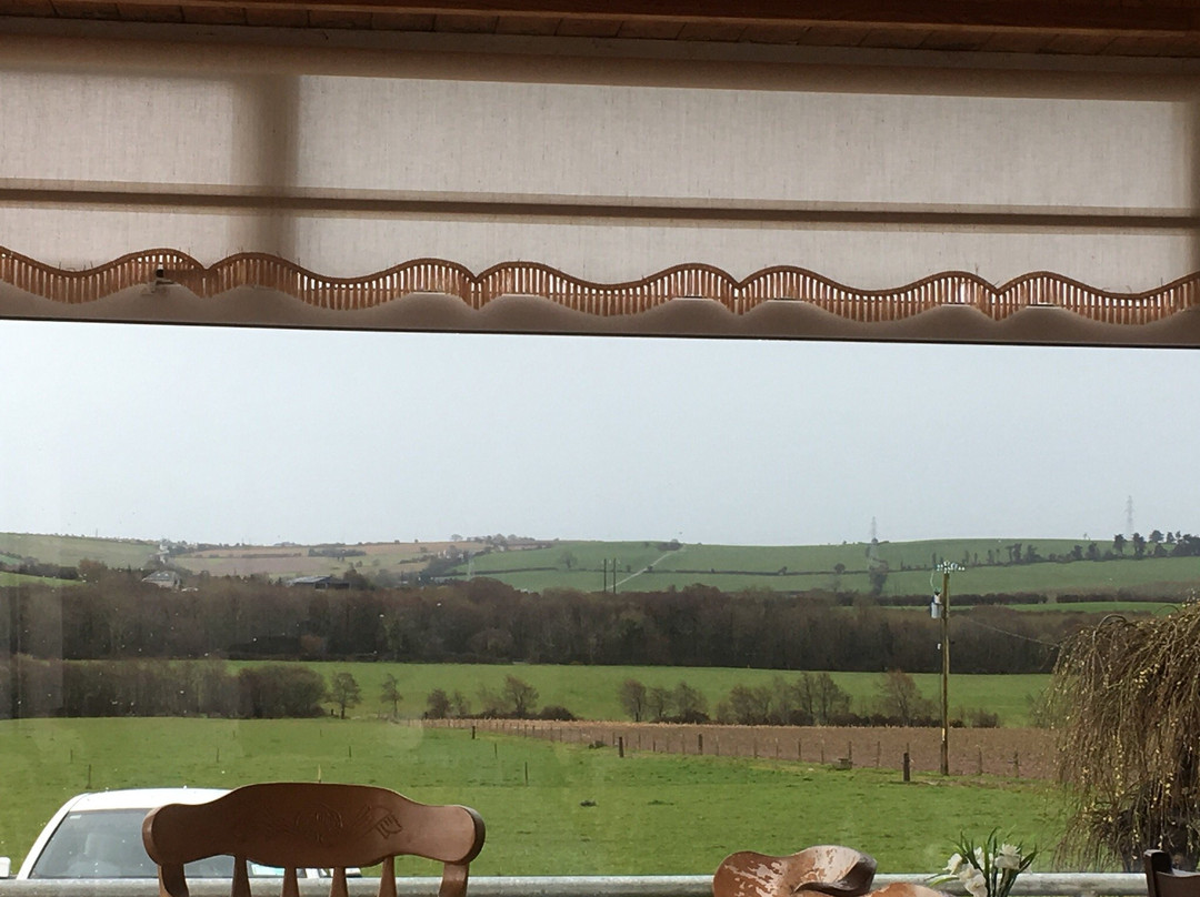 Midleton酒店住宿-Teach na Coille B&B