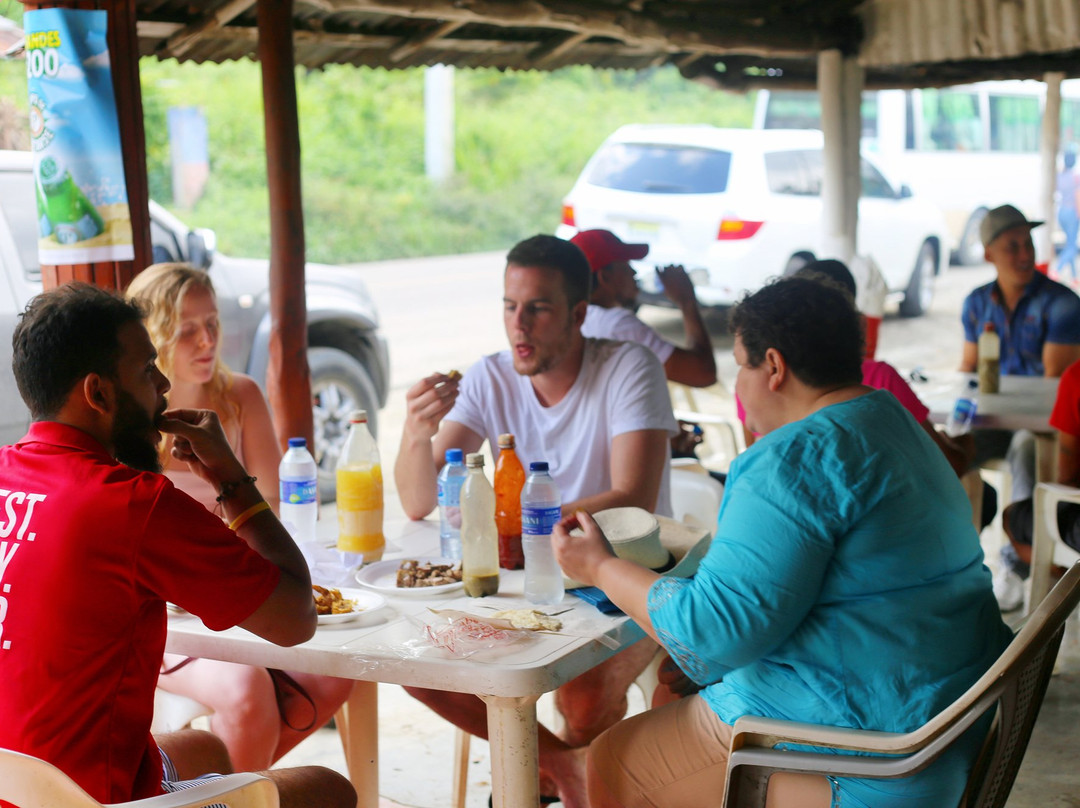 Puerto Plata Dominican Adventures-普拉塔港必去景点
