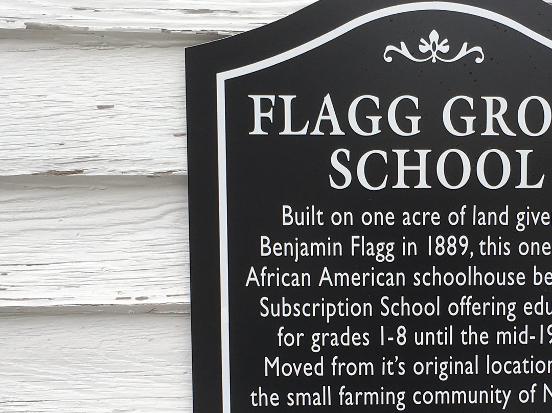 Tina Turner Museum  @ Flagg Grove School-Brownsville必去景点