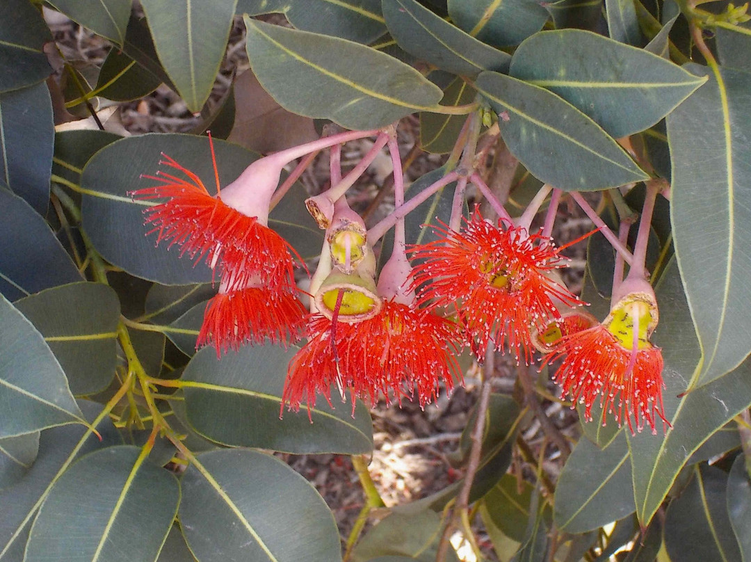 Triangle Gardens-Hampton必去景点