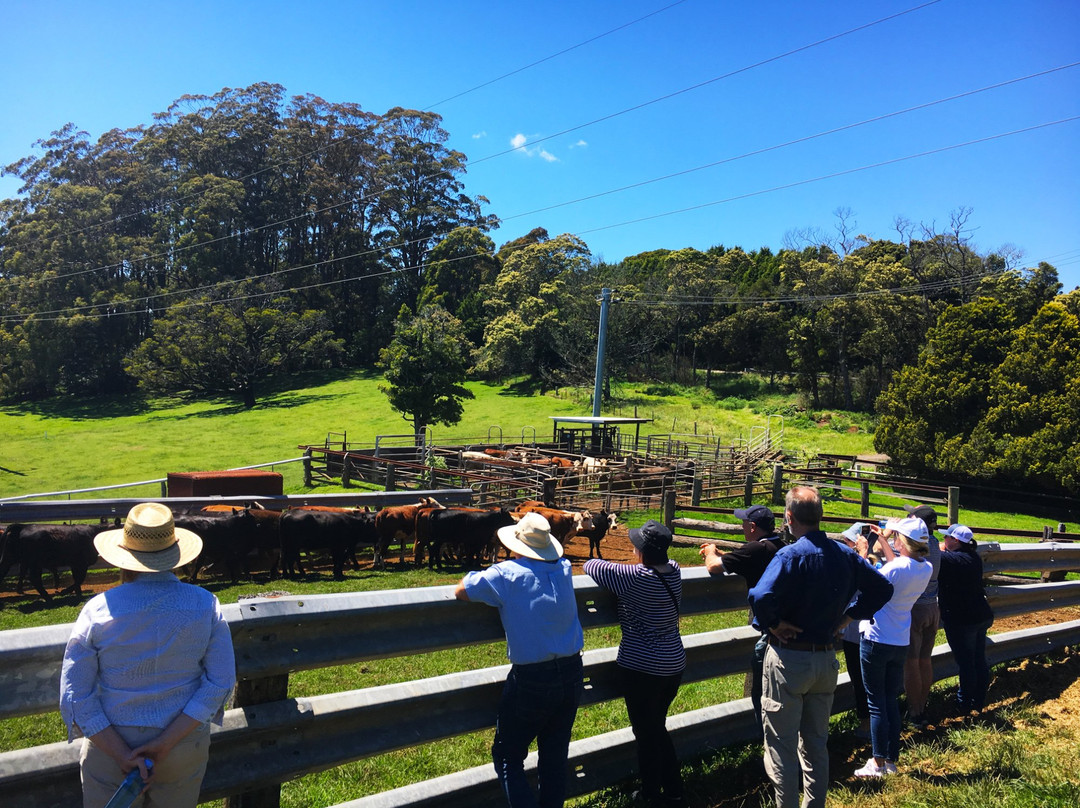 Maugers Paddock to Plate Tours-Robertson必去景点