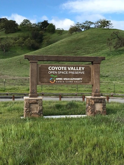 Coyote Valley Open Space Preserve-摩根希尔必去景点
