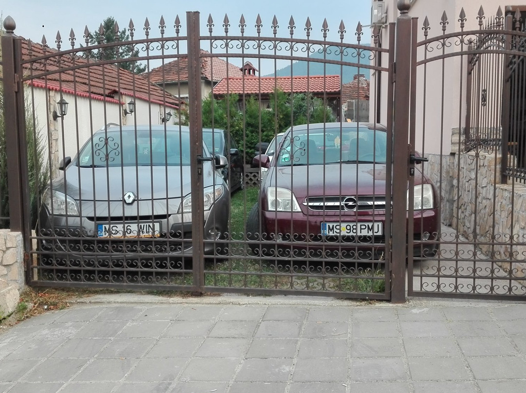 Family Hotel Camellia主图