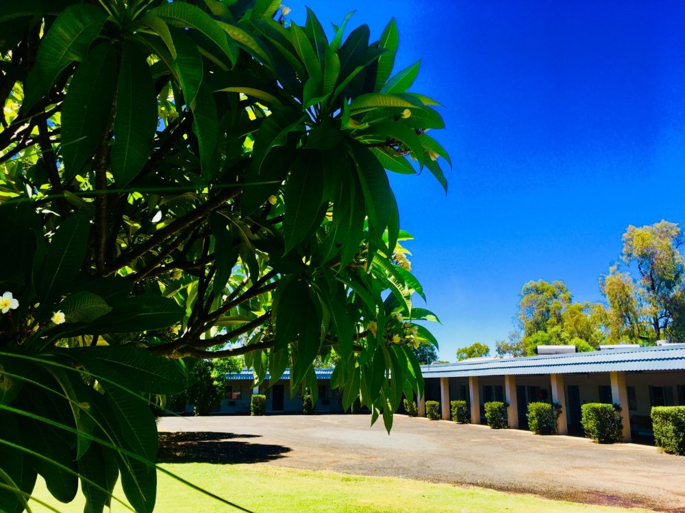 Balonne River Motor Inn-官方