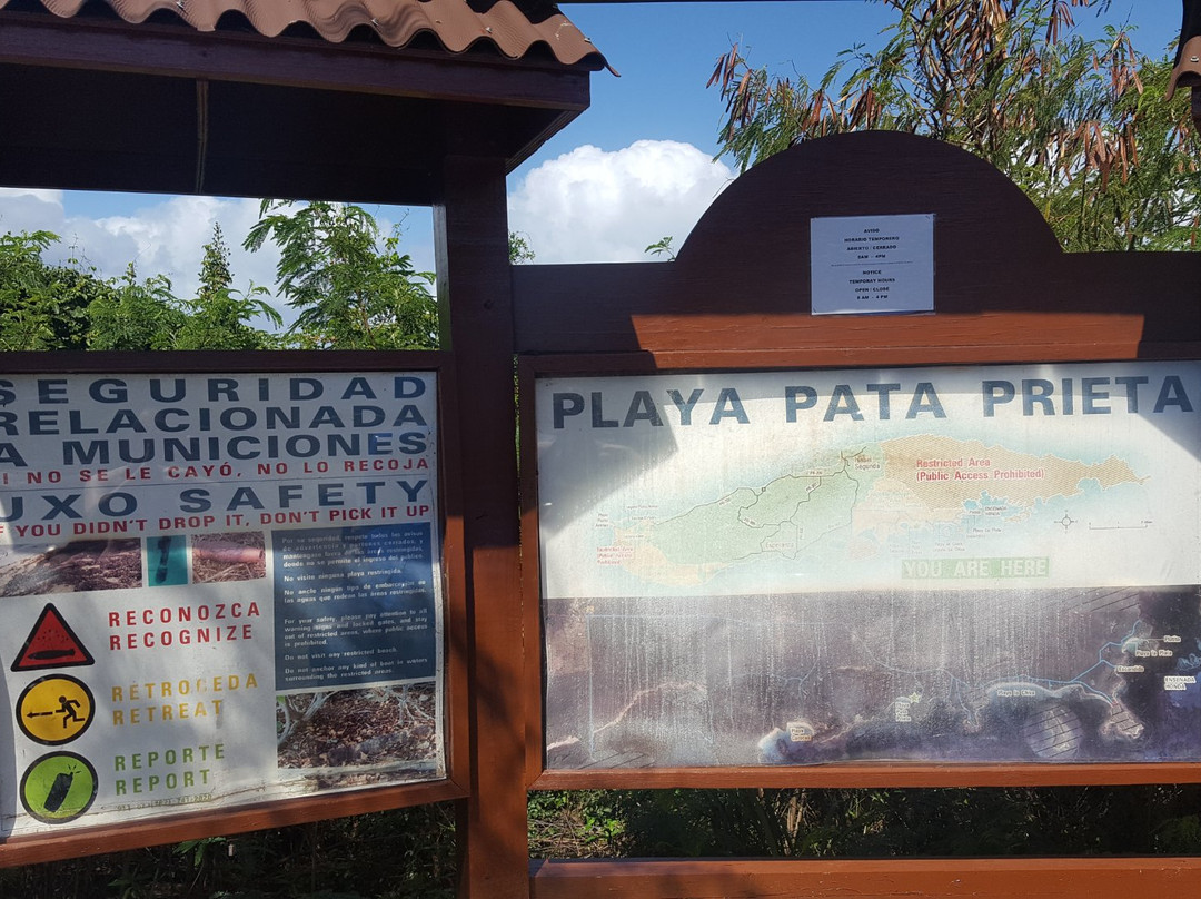 Playa Pata Prieta景点图片