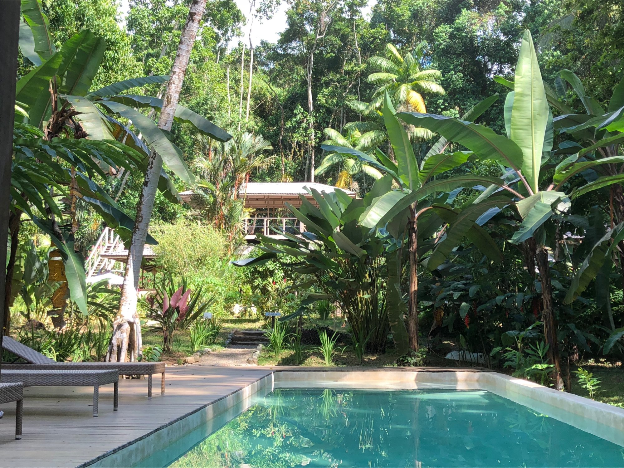 Golfo Dulce Retreat-泳池