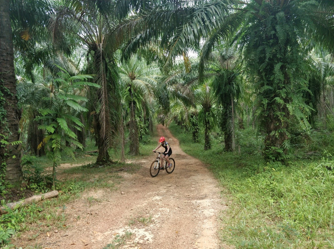 Ride Krabi景点图片