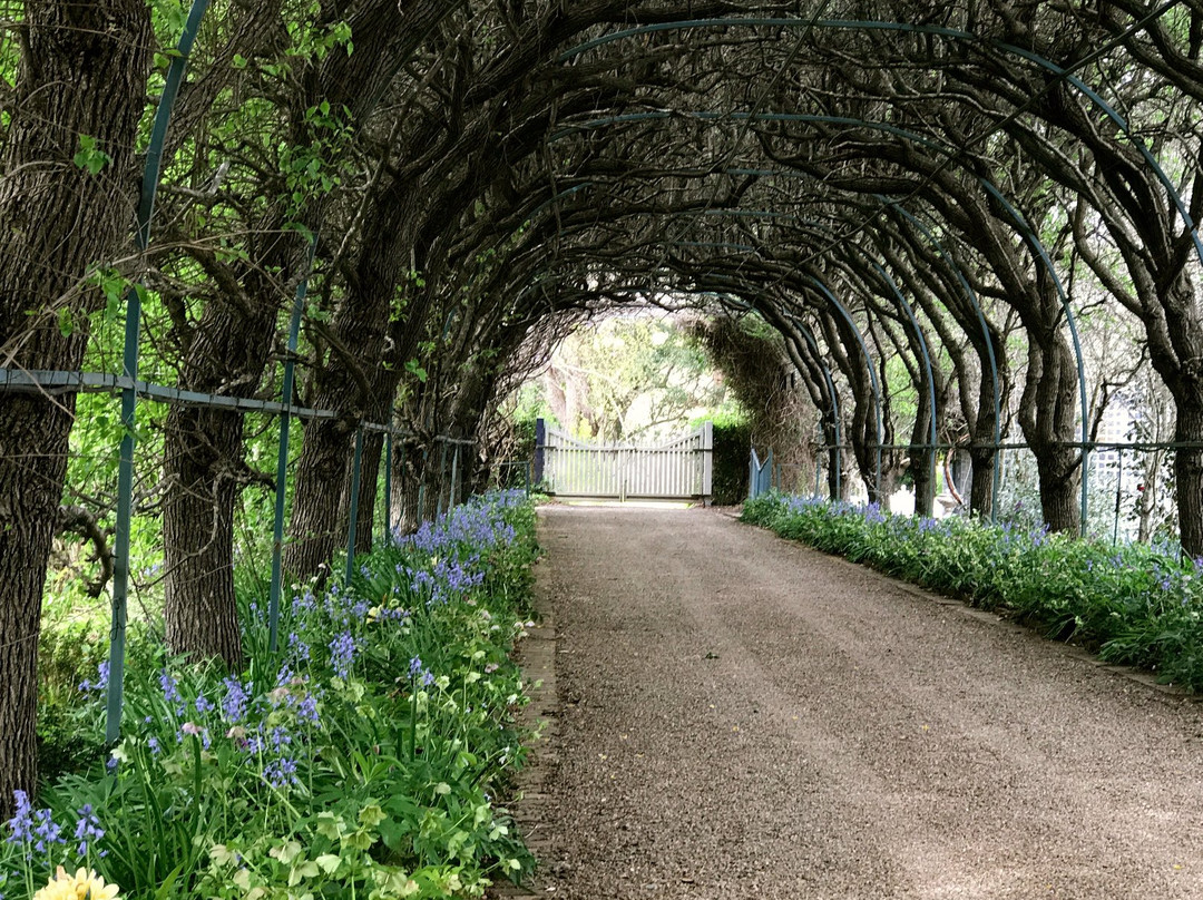 The Foxglove & Co Gardens景点图片