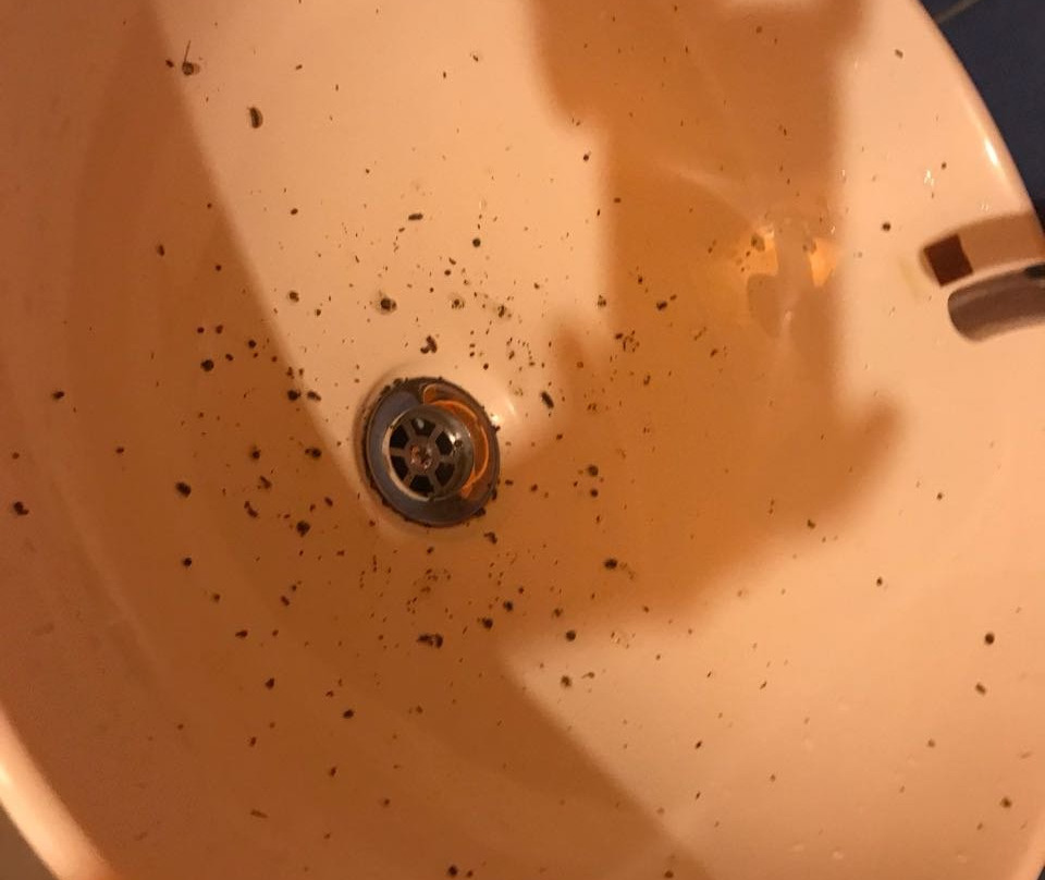 Oro Beach Houses主图