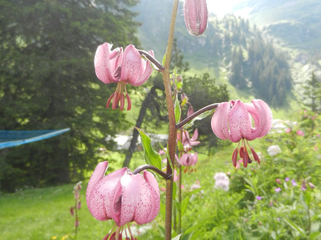 Naturfreundehaus Mettmen主图