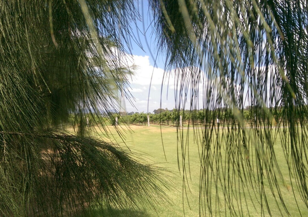 Hunter Valley Golf Club景点图片