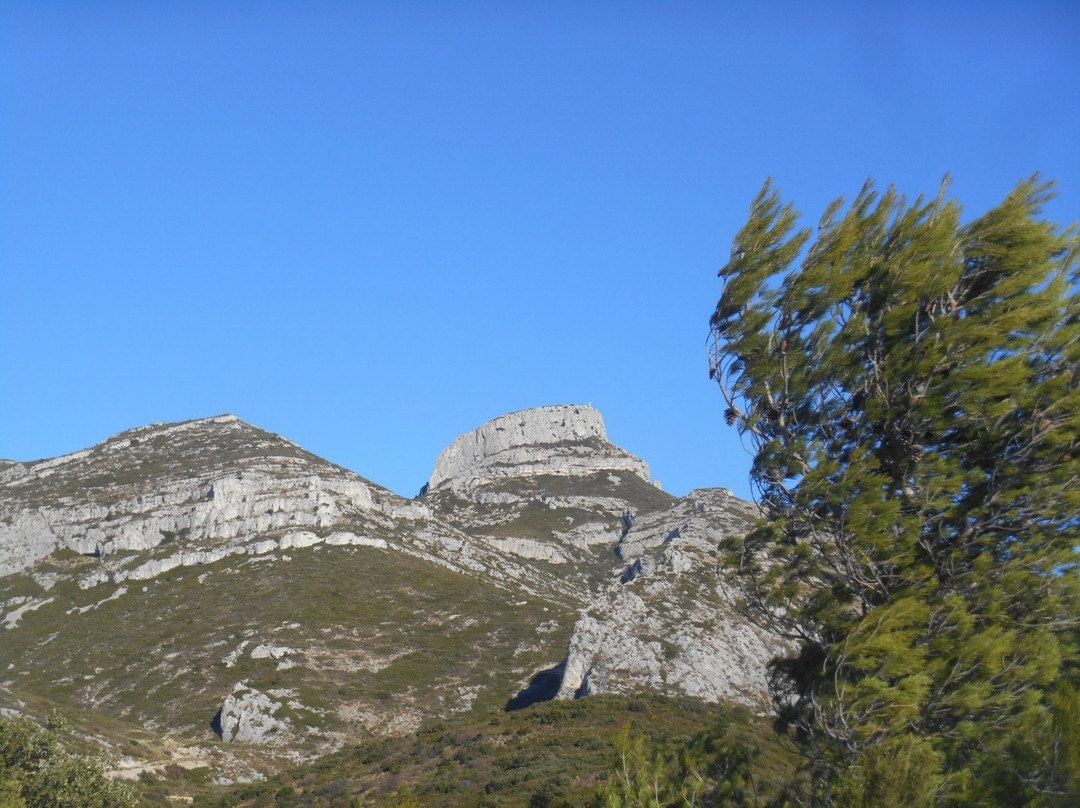 Domaine de la Font de Mai景点图片