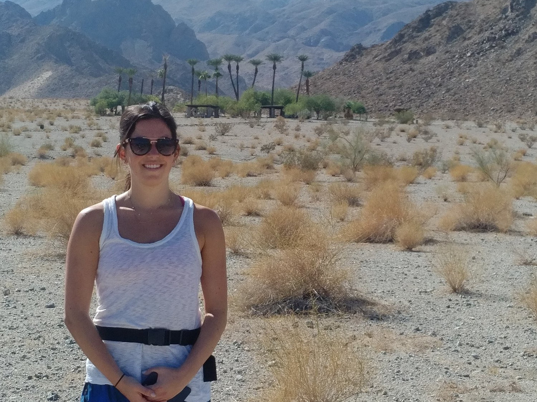 Tallgrass Hiking and Tours-棕榈沙漠必去景点