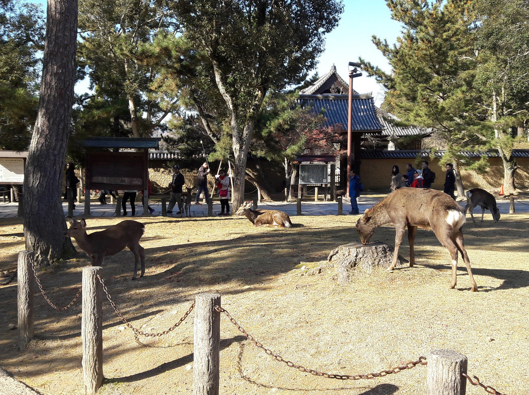 Nara Jidoyuen-市原市必去景点
