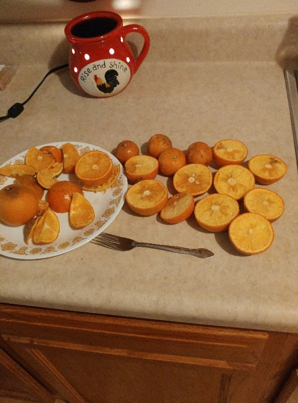 Jennings Citrus-Oxford必去景点