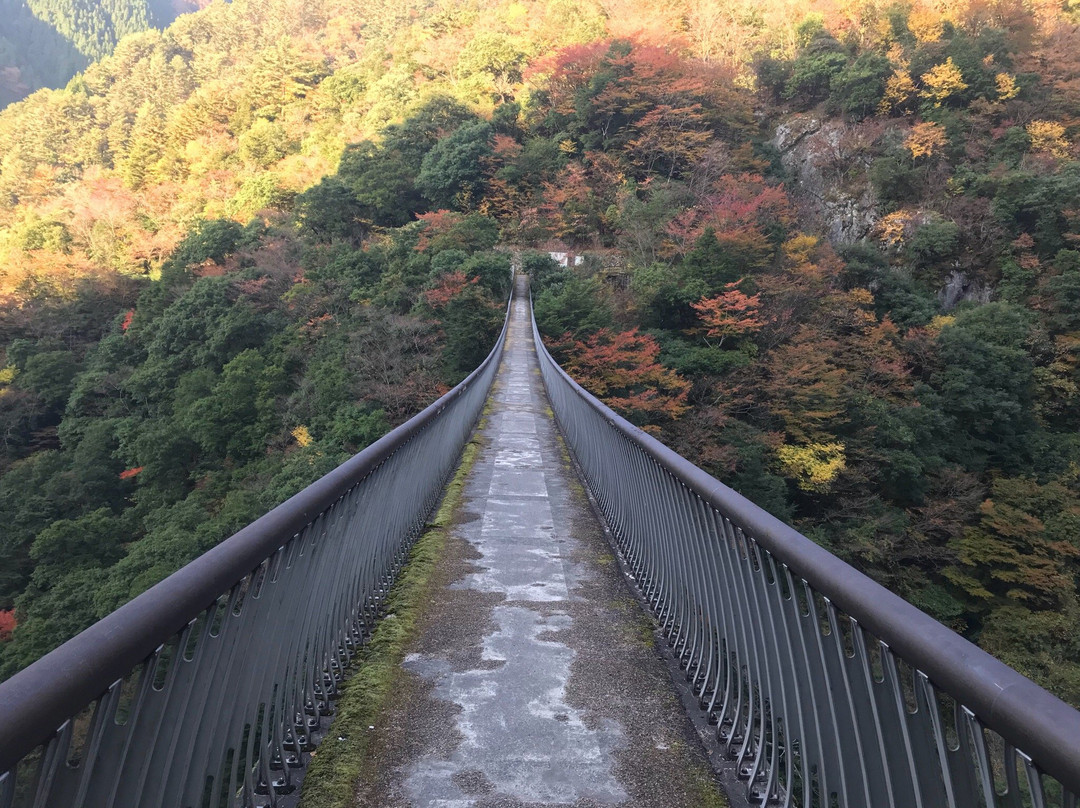 Supension Bridge, Umenoki Todoroki Park-八代市必去景点