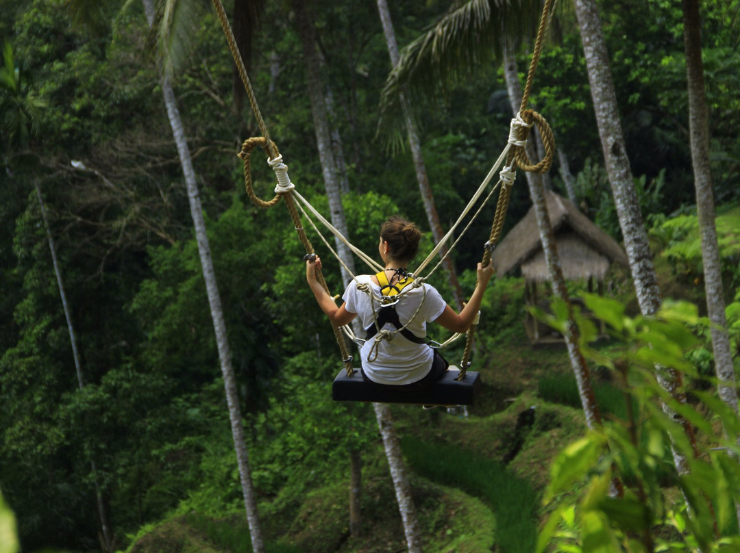 Terrace River Pool Swing-乌布必去景点